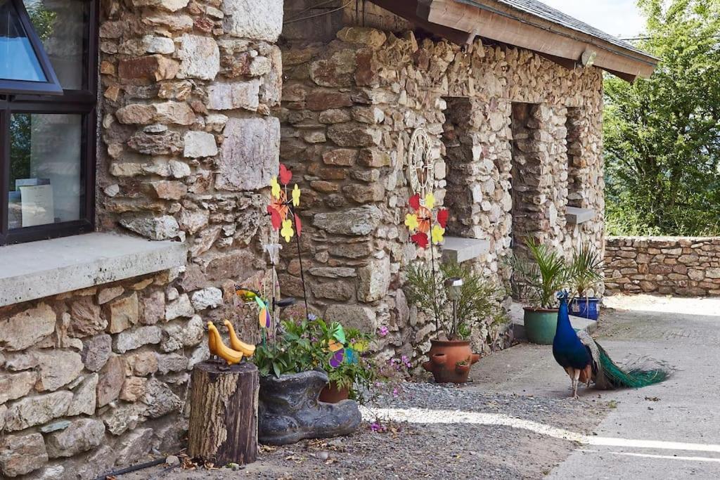 Kingsford Renovated Old Cottage Wexford Bagian luar foto