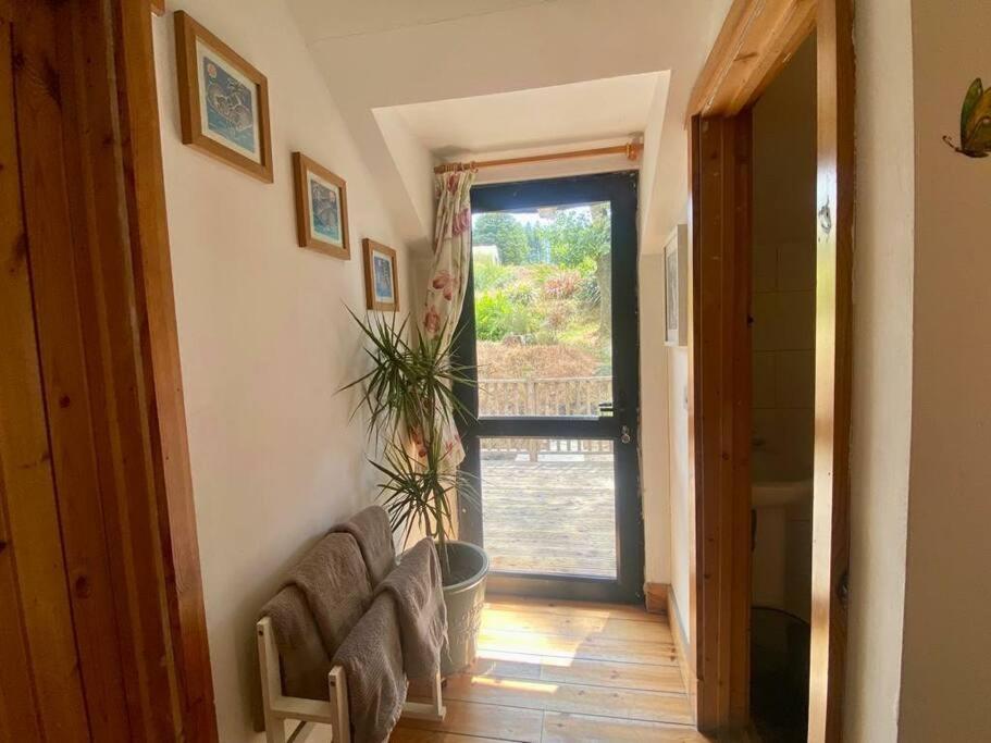 Kingsford Renovated Old Cottage Wexford Bagian luar foto