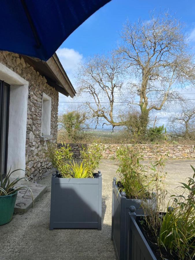 Kingsford Renovated Old Cottage Wexford Bagian luar foto